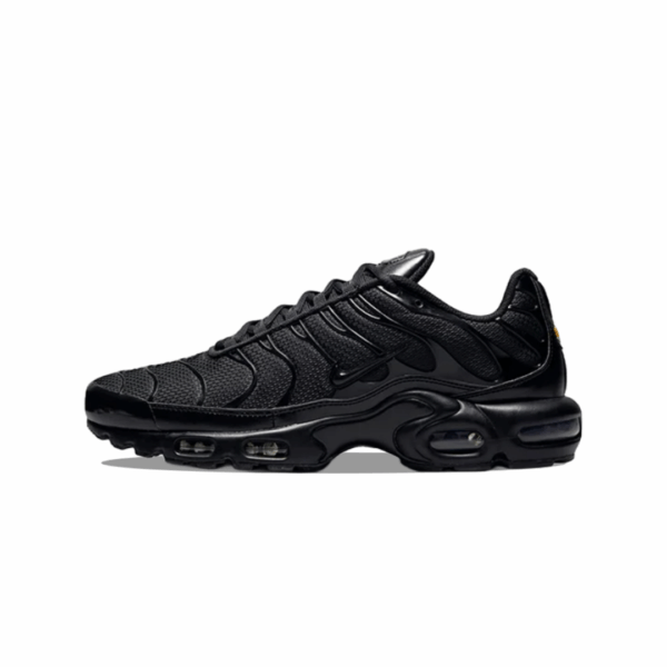 Nike Air Max Plus Negras